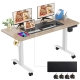 Electric Standing Desk AMG005135_LGT_US-G